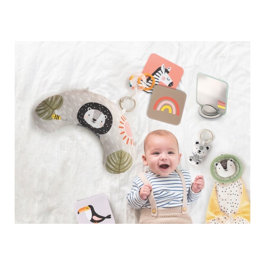Taf Toys - PLEASE TRANSLATE HELLO BABY