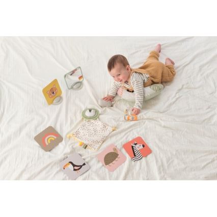 Taf Toys - PLEASE TRANSLATE HELLO BABY