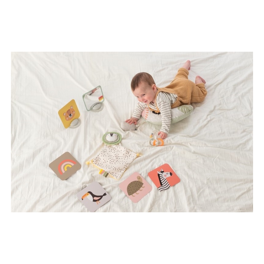 Taf Toys - PLEASE TRANSLATE HELLO BABY
