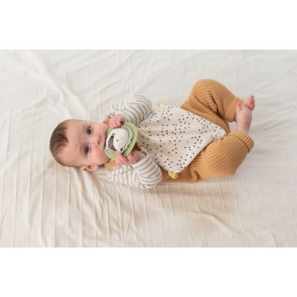 Taf Toys - PLEASE TRANSLATE HELLO BABY