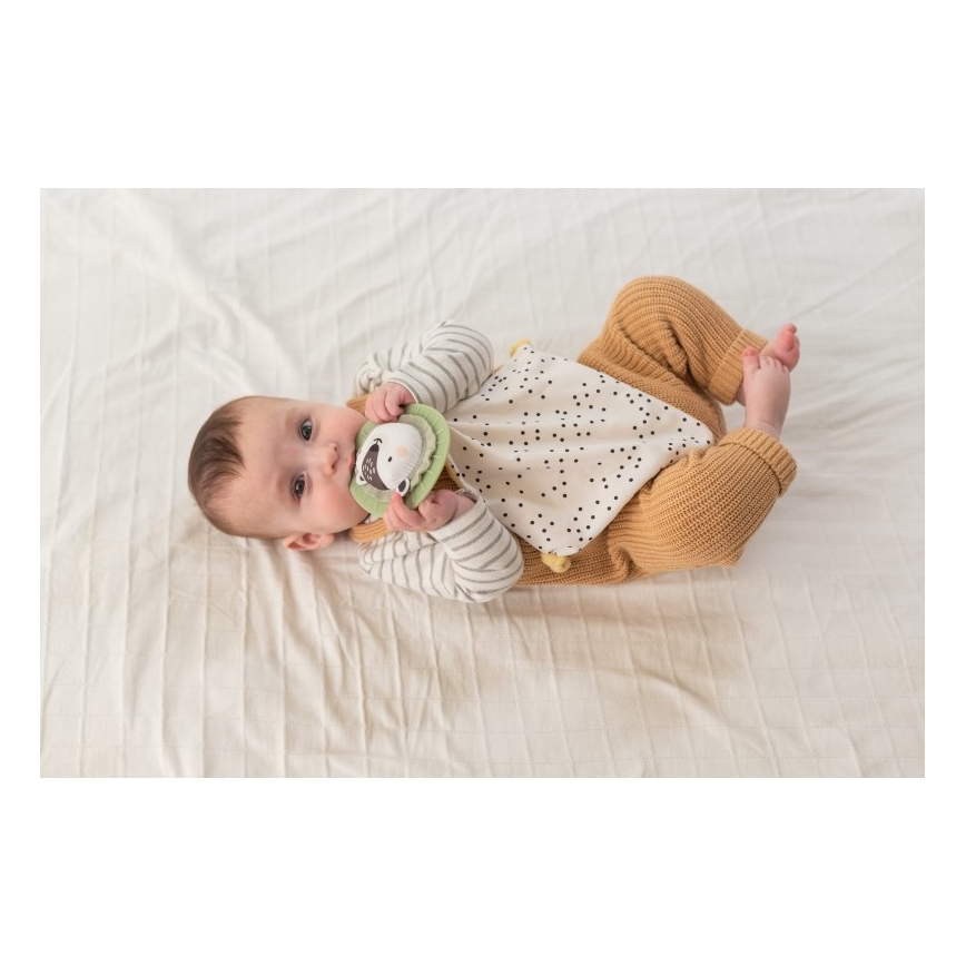 Taf Toys - PLEASE TRANSLATE HELLO BABY