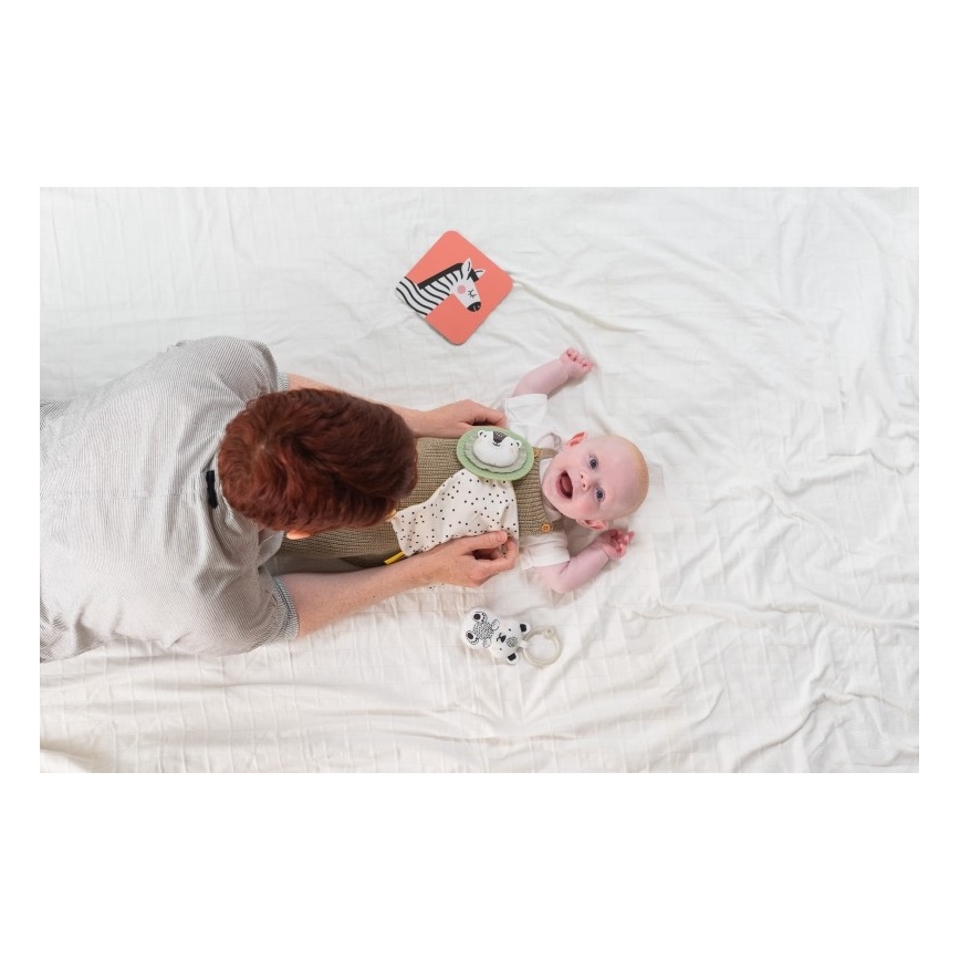 Taf Toys - PLEASE TRANSLATE HELLO BABY