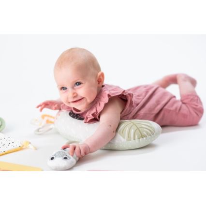 Taf Toys - PLEASE TRANSLATE HELLO BABY