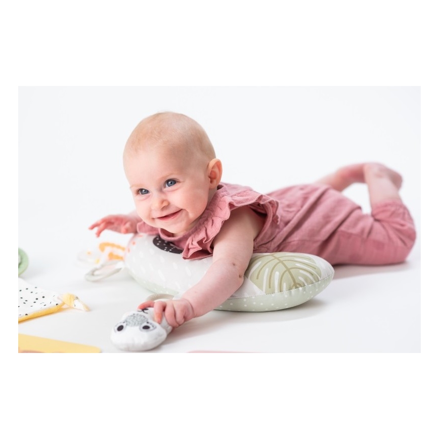 Taf Toys - PLEASE TRANSLATE HELLO BABY