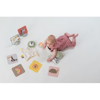 Taf Toys - PLEASE TRANSLATE HELLO BABY