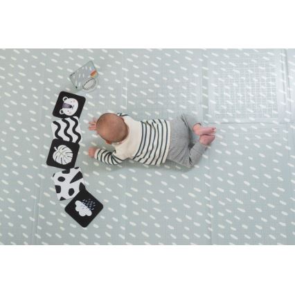 Taf Toys - PLEASE TRANSLATE HELLO BABY