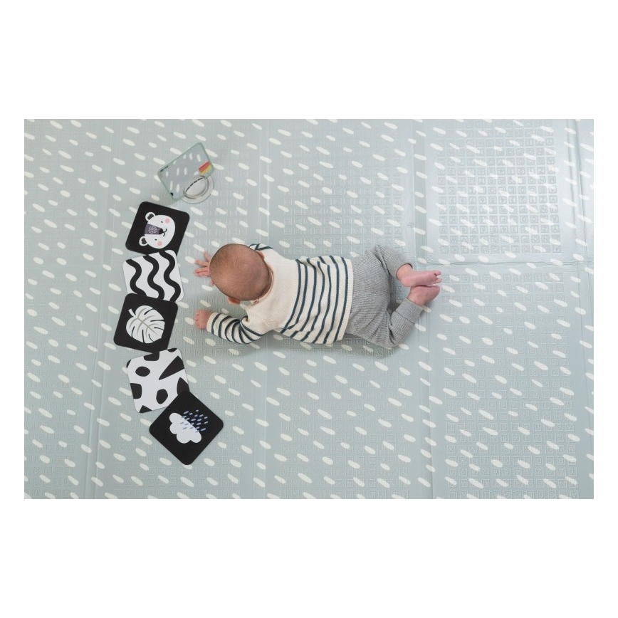 Taf Toys - PLEASE TRANSLATE HELLO BABY