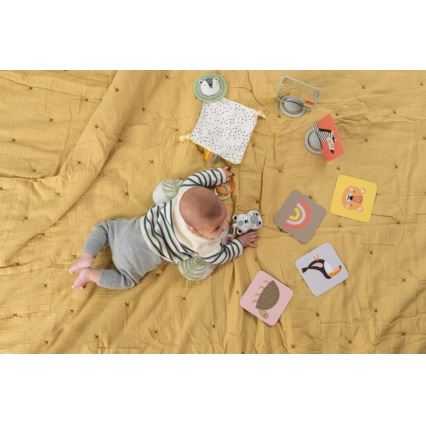 Taf Toys - PLEASE TRANSLATE HELLO BABY