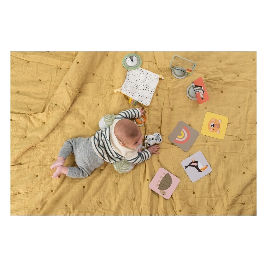 Taf Toys - PLEASE TRANSLATE HELLO BABY