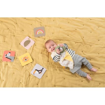 Taf Toys - PLEASE TRANSLATE HELLO BABY