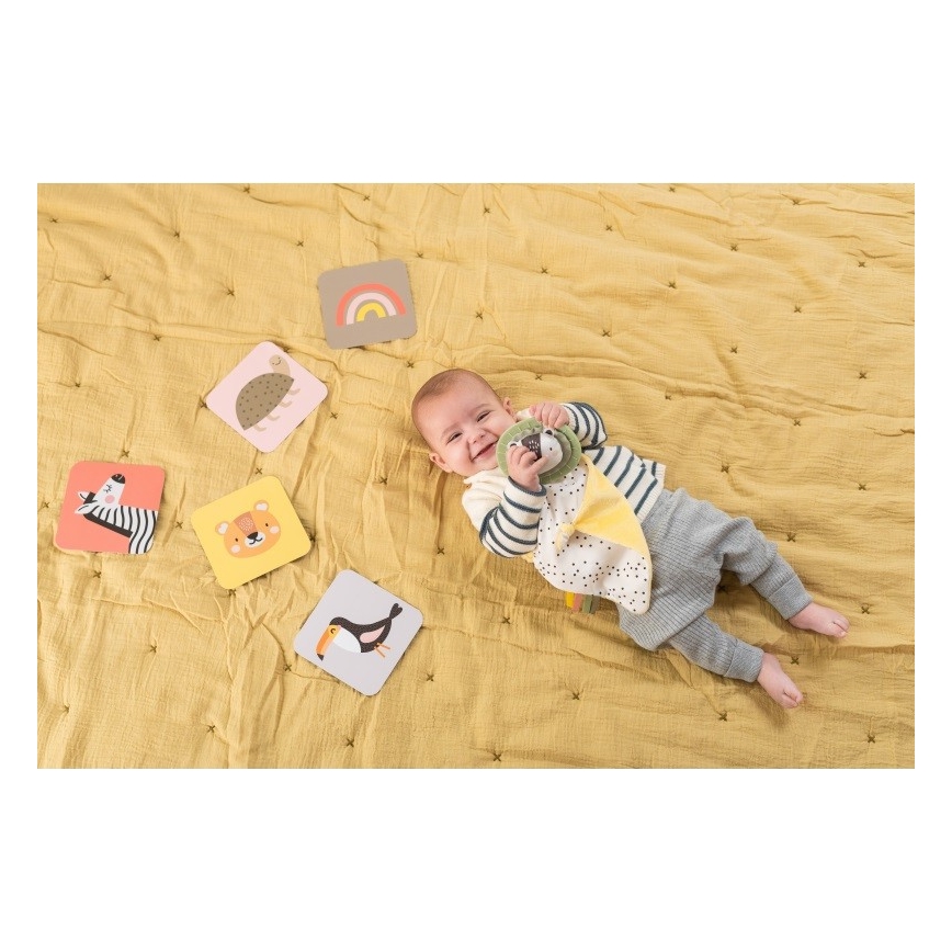 Taf Toys - PLEASE TRANSLATE HELLO BABY