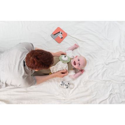 Taf Toys - Presentbox HELLO BABY