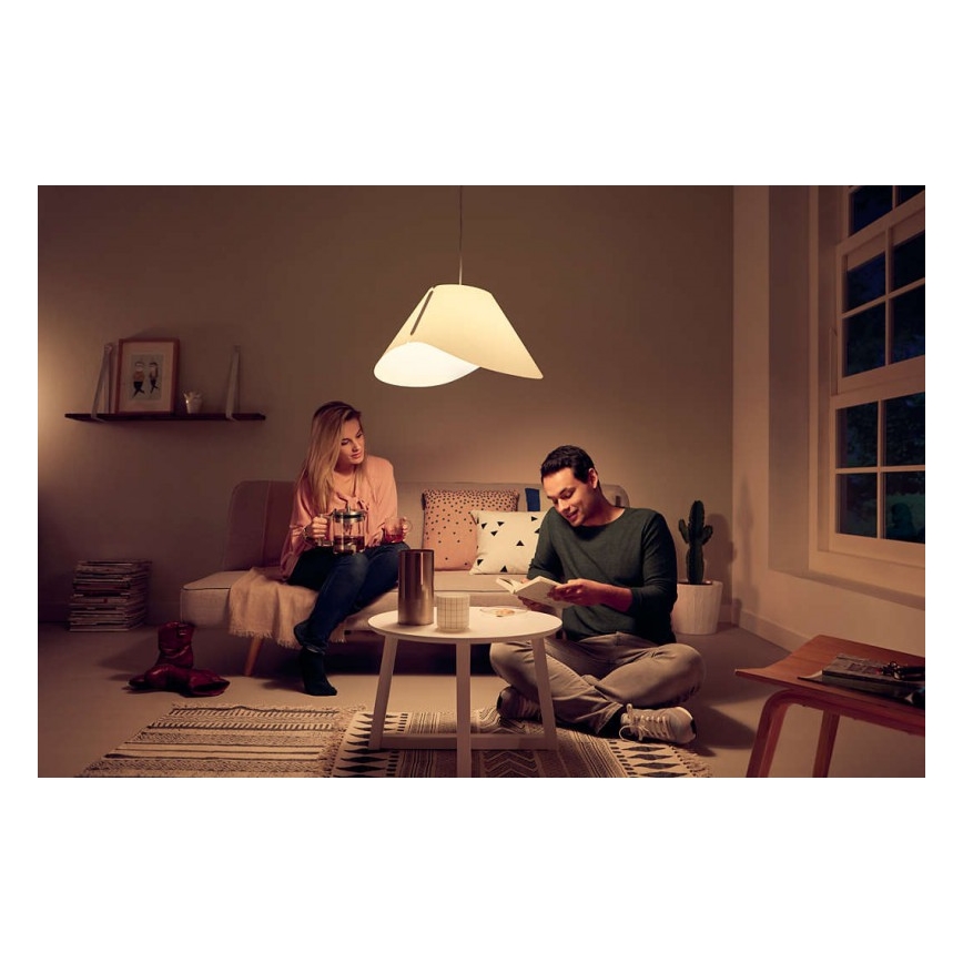 Tak Hängande lampa E27/60W/230V