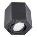 Takbelysning ARENO 1xGU10/30W/230V svart