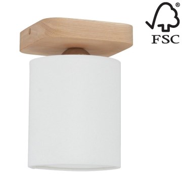 Takbelysning JENTA 1xE27/25W/230V - FSC-certifierad