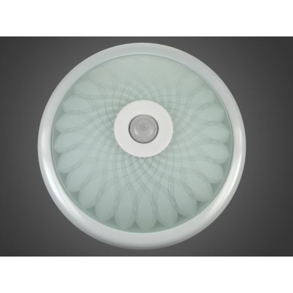 Takbelysning med sensor PLAFON 2xE27/80W/230V