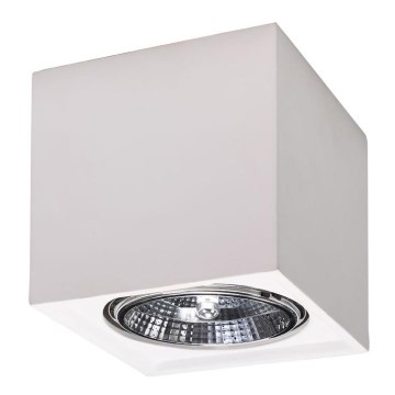 Takbelysning SEIDA 1xGU10/40W/230V