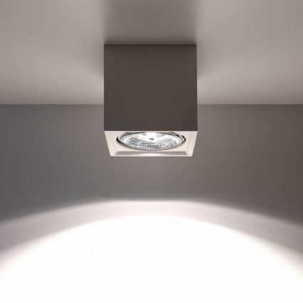 Takbelysning SEIDA 1xGU10/40W/230V