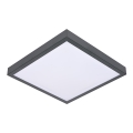 Takbelysning VITAL 2xE27/60W/230V antracit