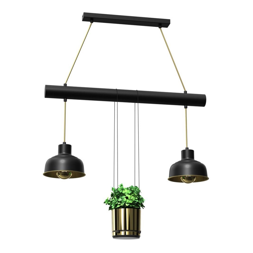 Takkkrona på ett snöre  FLORA 2xE27/60W/230V