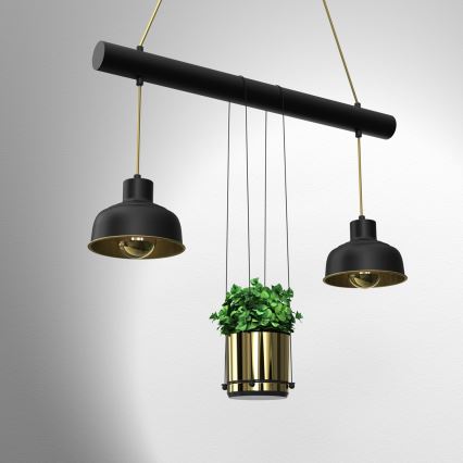 Takkkrona på ett snöre  FLORA 2xE27/60W/230V