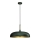 Takkkrona på ett snöre  LINCOLN 1xE27/60W/230V d. 45 cm grön