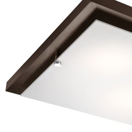 Taklampa 2xE27/60W/230V tall