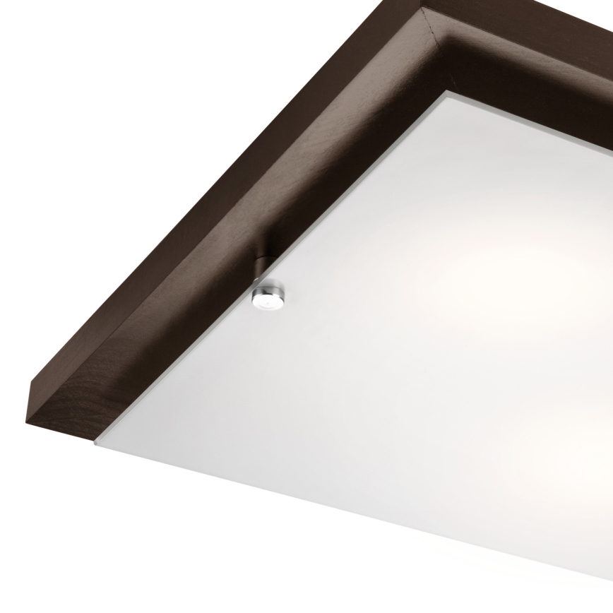 Taklampa 2xE27/60W/230V tall