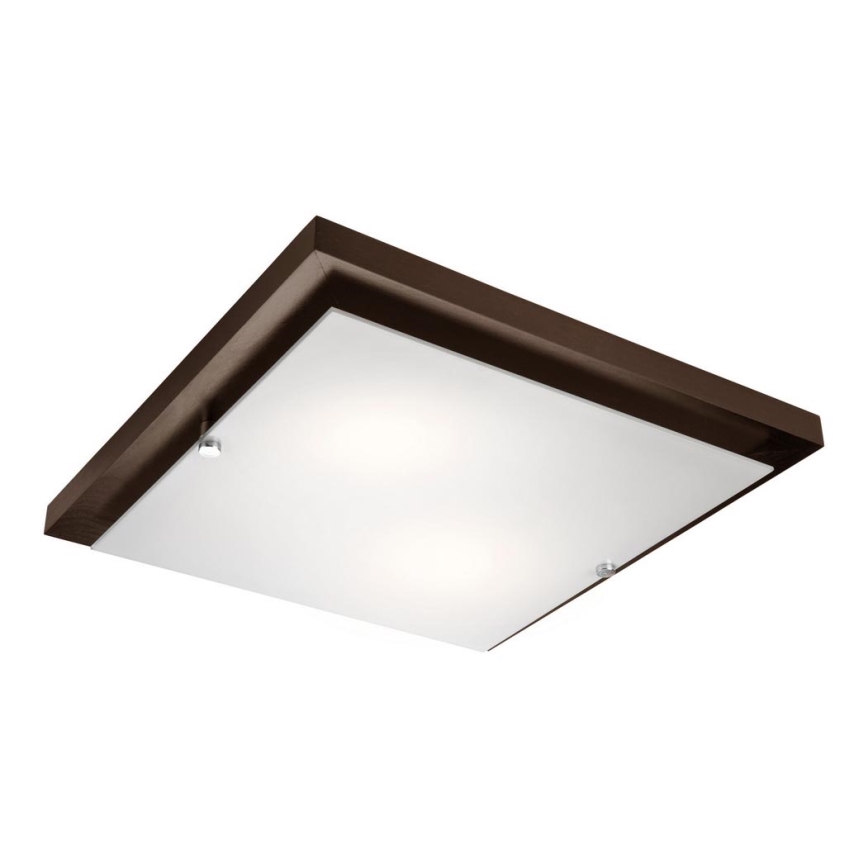Taklampa 2xE27/60W/230V tall