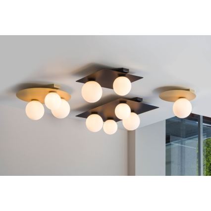 Taklampa  ARGON 1xG9/12W/230V svart 