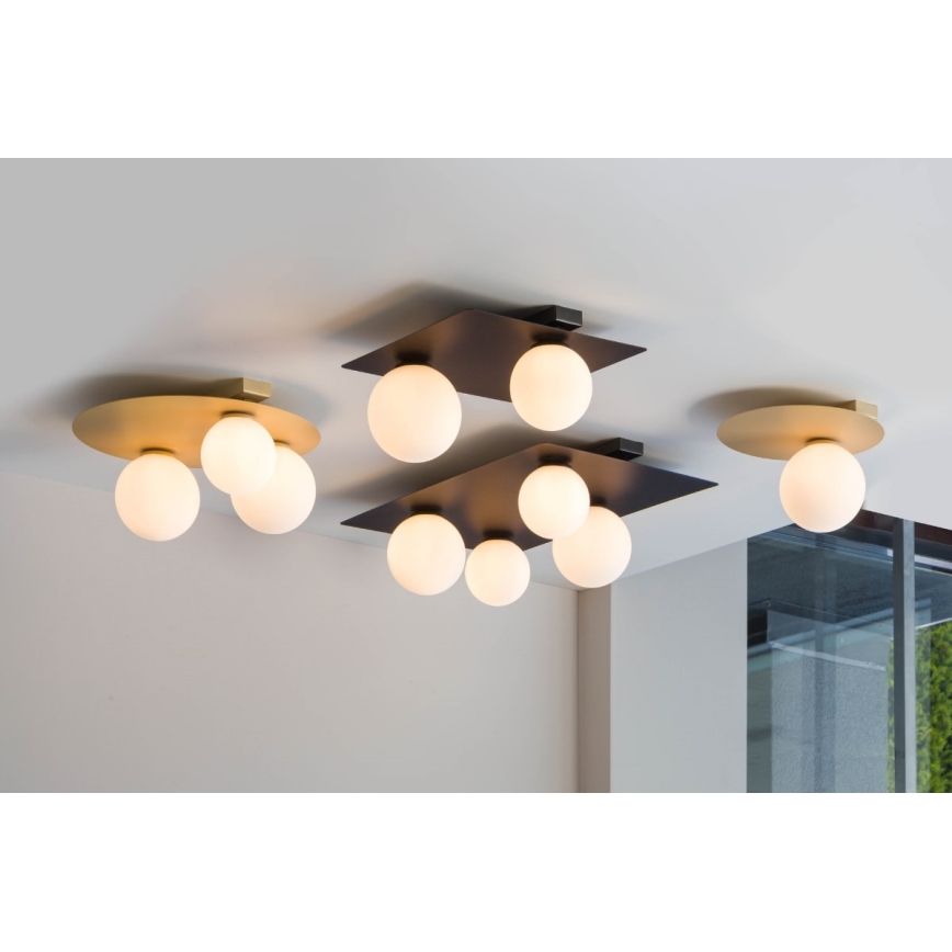 Taklampa  ARGON 1xG9/12W/230V svart 