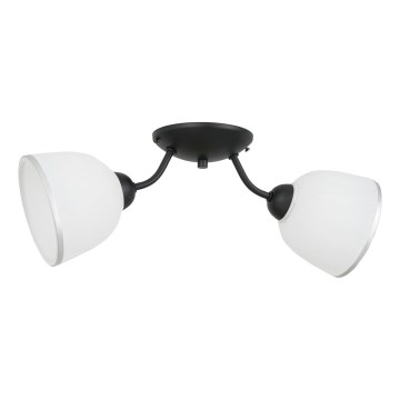 Taklampa AVIA 2xE27/60W/230V