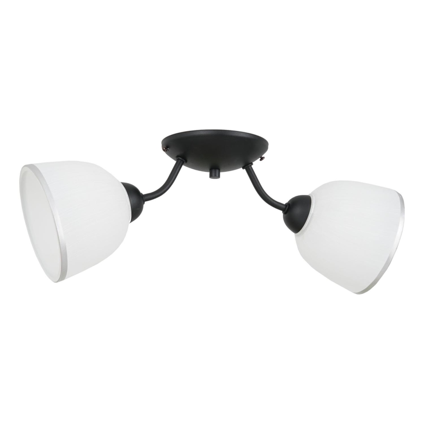 Taklampa AVIA 2xE27/60W/230V