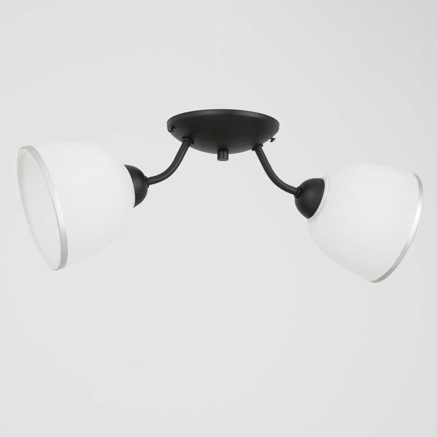 Taklampa AVIA 2xE27/60W/230V