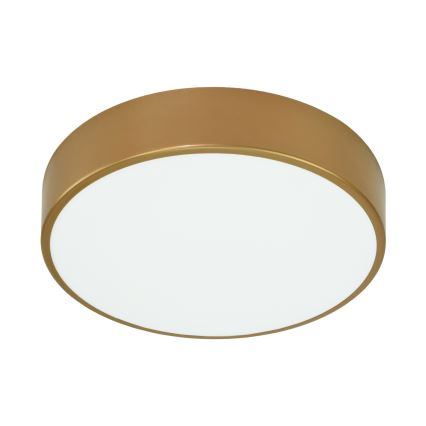 Taklampa  CLEO 3xE27/24W/230V d. 40 cm gold