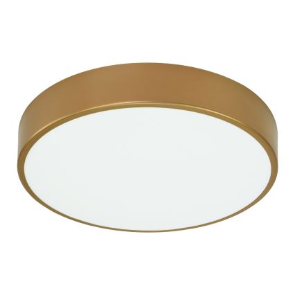 Taklampa  CLEO 4xE27/24W/230V d. 50 cm gold