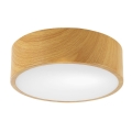 Taklampa DANTE 1xE27/60W/230V d. 26 cm