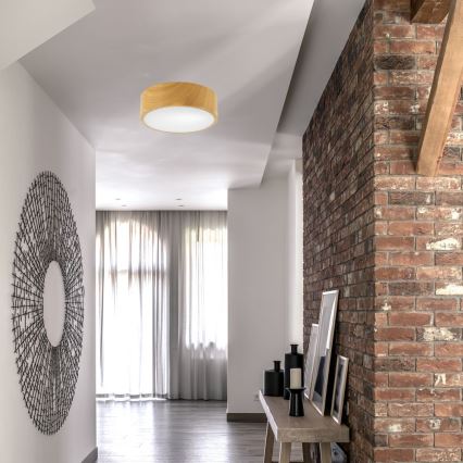 Taklampa DANTE 1xE27/60W/230V d. 26 cm