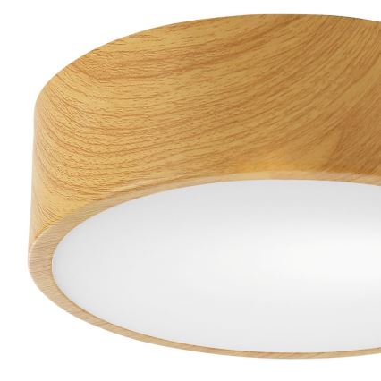 Taklampa DANTE 1xE27/60W/230V d. 26 cm