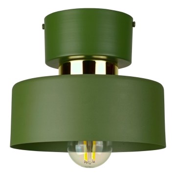 Taklampa IGNIA 1xE27/60W/230V grön