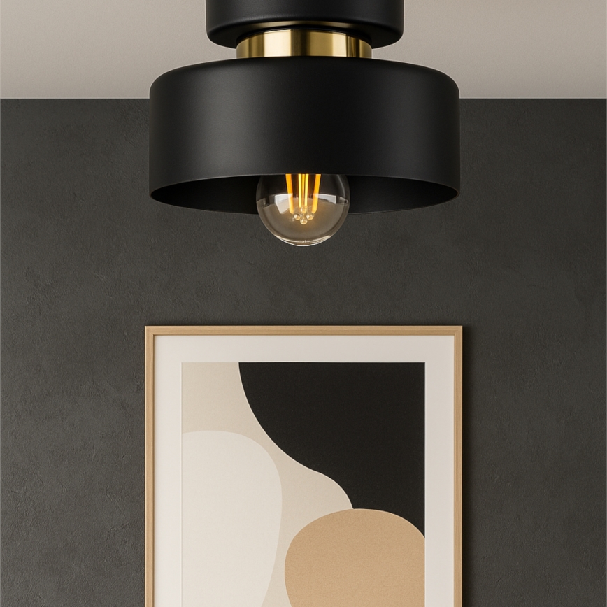 Taklampa IGNIA 1xE27/60W/230V svart