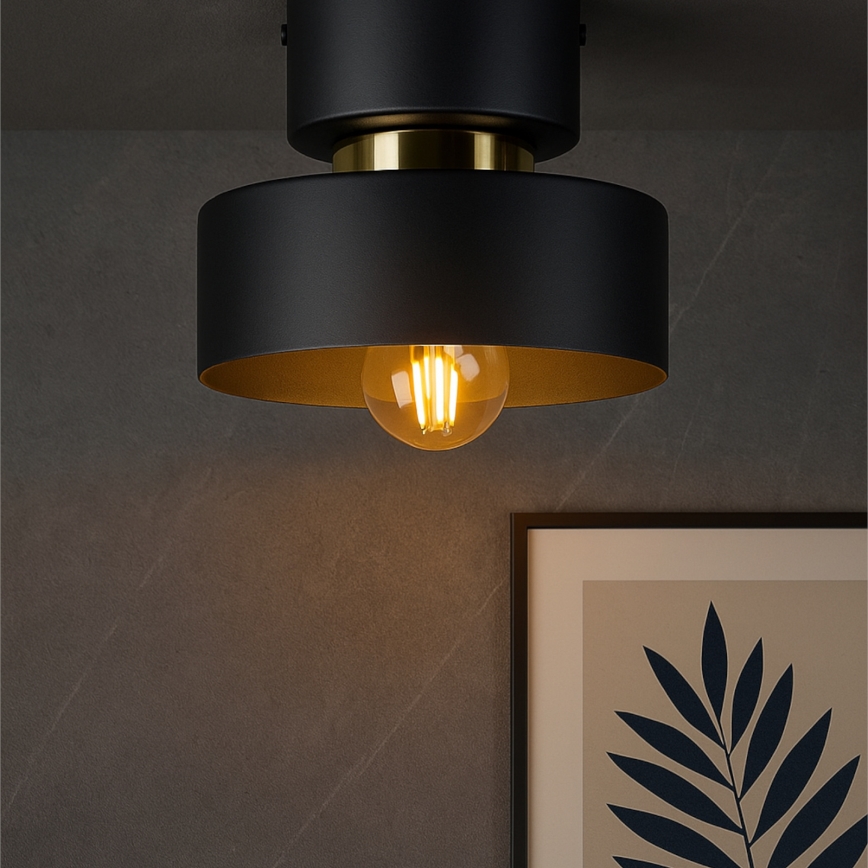 Taklampa IGNIA 1xE27/60W/230V svart