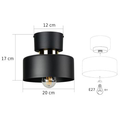 Taklampa IGNIA 1xE27/60W/230V svart