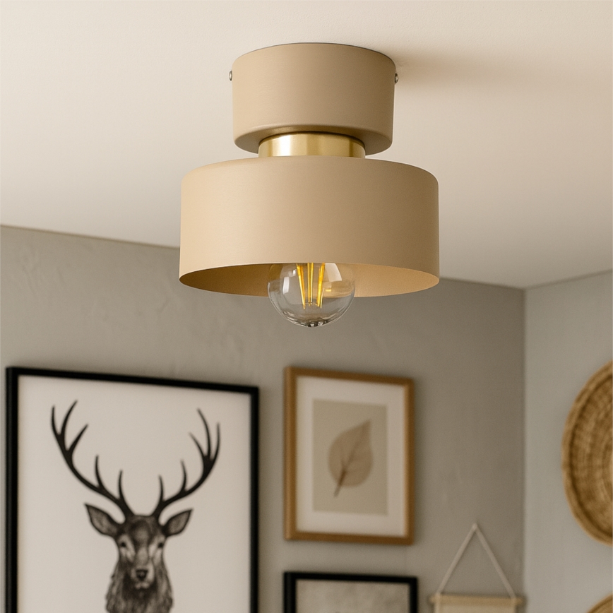 Taklampa IGNIA 1xE27/60W/230V taupe