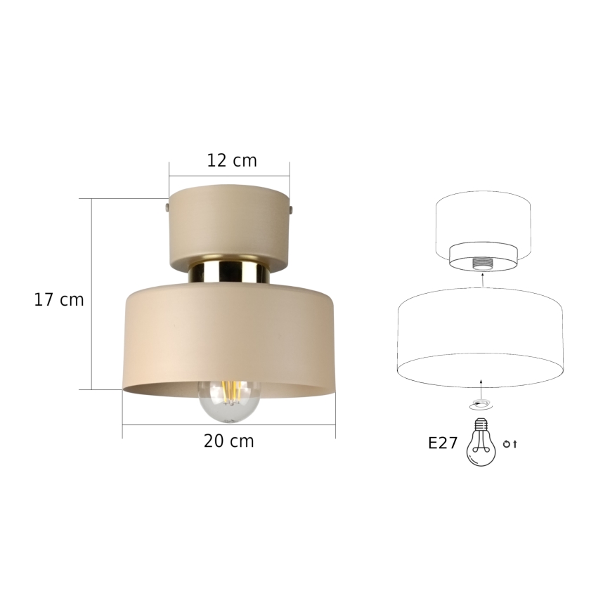 Taklampa IGNIA 1xE27/60W/230V taupe
