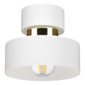 Taklampa IGNIA 1xE27/60W/230V vit