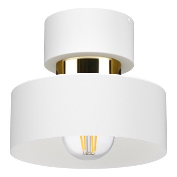 Taklampa IGNIA 1xE27/60W/230V vit