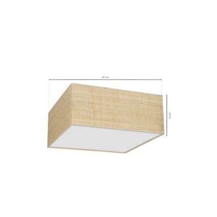 Taklampa  MARSHALL 2xE27/60W/230V