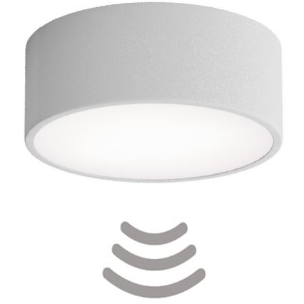 Taklampa med sensor CLEO 1xE27/40W/230V d. 20 cm grå