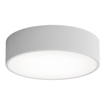 Taklampa med sensor CLEO 2xE27/24W/230V d. 30 cm grå
